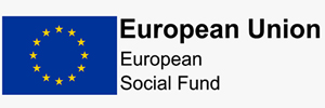 european union social fund